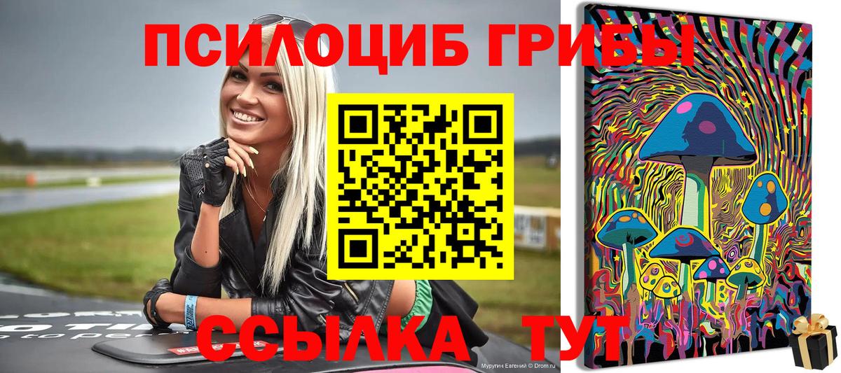 Галлюциногенные грибы MAGIC MUSHROOMS Усть-Джегута