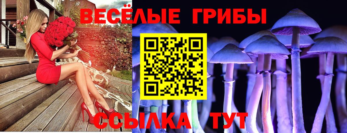 Галлюциногенные грибы Magic Shrooms  Вход с VPN  Усть-Джегута 