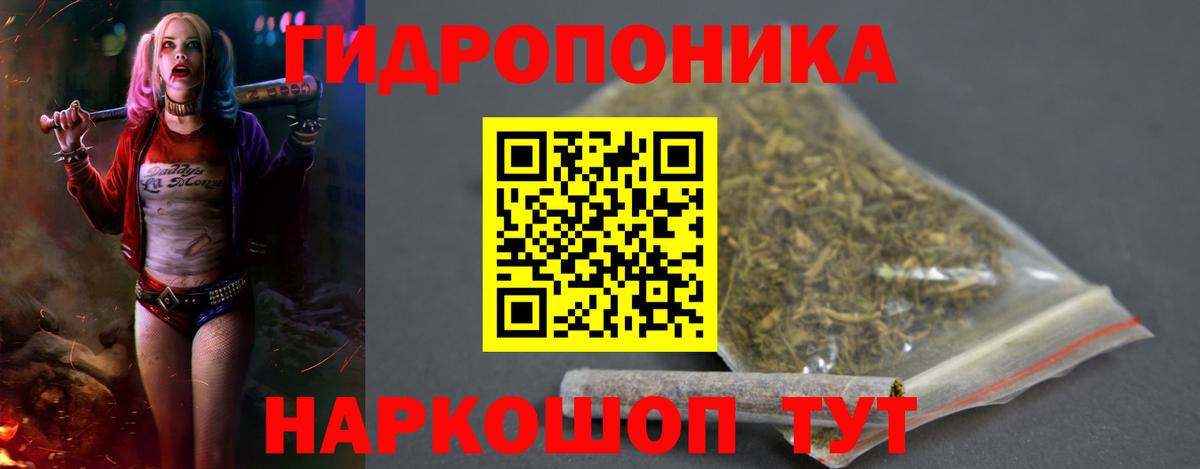 Усть-Джегута  Канабис Amnesia  Марихуана семена  Вход с VPN 